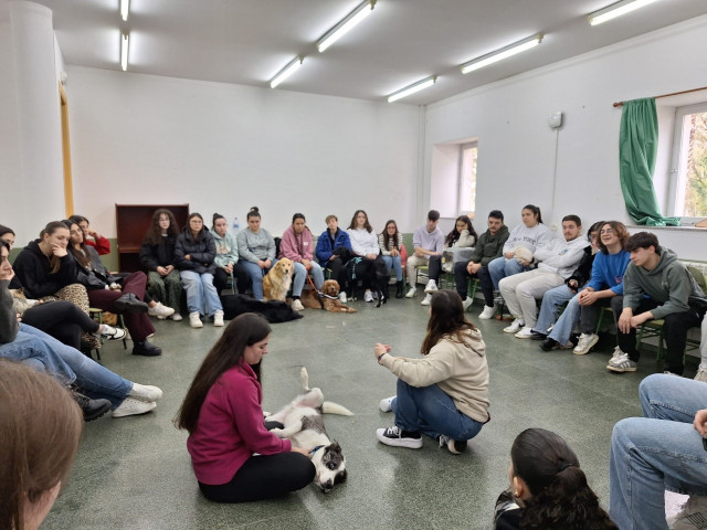 Estudiantes del Centro de Formación y Experimentación Agraria de Sergude amplían sus conocimientos sobre cuidado animal.