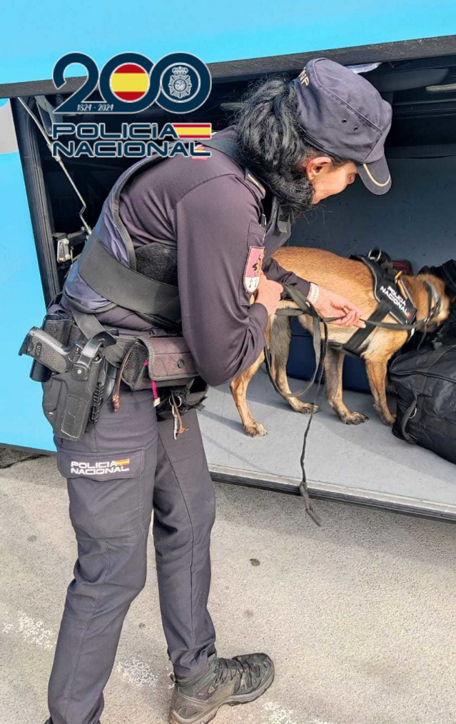 Perro policía vigila el arcón de un autobús