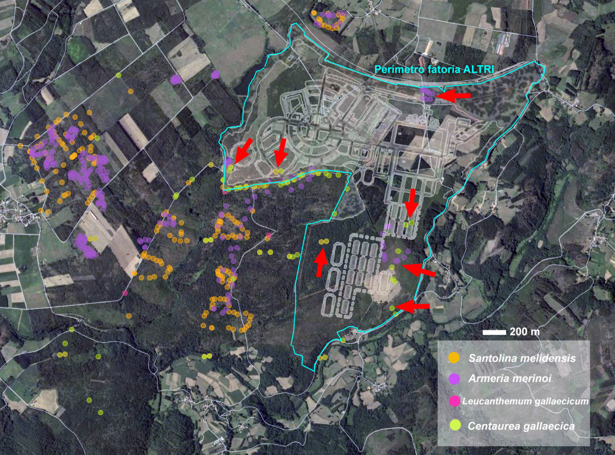 Mapa de plantas endu00e9micas en los terrenos de Altri publicado por ADEGA