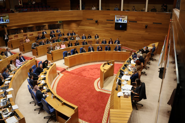 Archivo - Pleno del Parlamento de Galicia del 6 de noviembre de 2024.