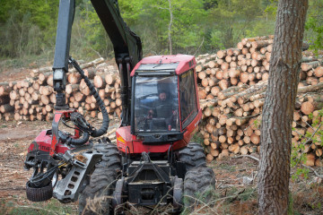 Archivo - Un tractor de una empresa de madera corta los pinos tras la tala en Vilacampa, Ferreira do Valadouro, a 22 de abril de 2021, en Lugo, Galicia (España). La moratoria para la plantación de e