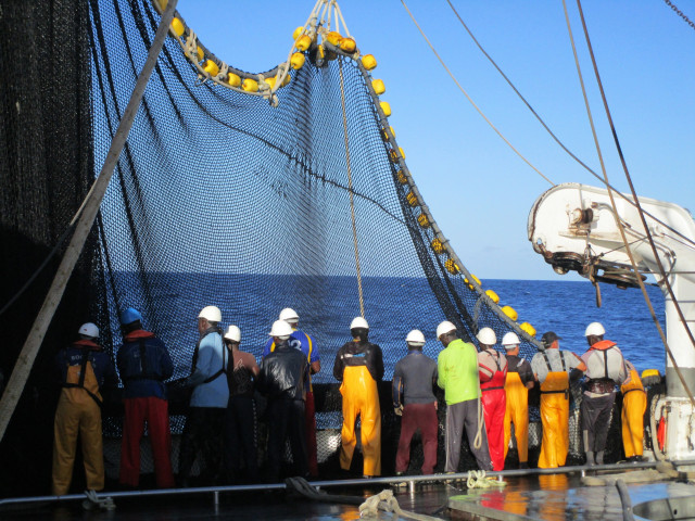 Archivo - Tareas de pesca en un barco de cerco de la flota atunera española