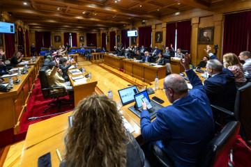 Pleno ordinario Diputación Ourense