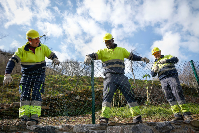 Chao de Vilarín, Cervantes, Lugo. Assane Camara, uno de los migrantes llegados en 2024 a la localidad lucense de Becerreá, trabaja junto a un compañero y a su jefe de la cuadrilla de albañilería y reparaciones Camino de Lamas.