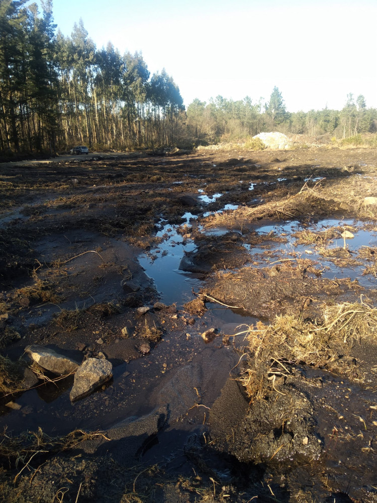 Denuncian ante los tribunales el permiso para una macrogranja de cerdos en Friol