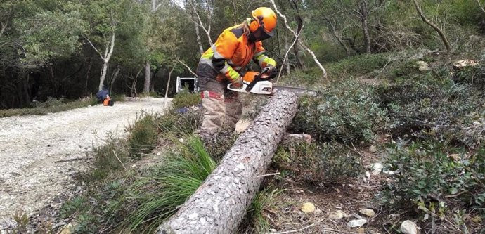 Pesar en O Veral, Lugo, al morir un vecino al que se le cayó una rama encima cuando talaba un árbol