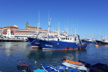 Archivo - Barcos pesqueros en el puerto de Bermeo