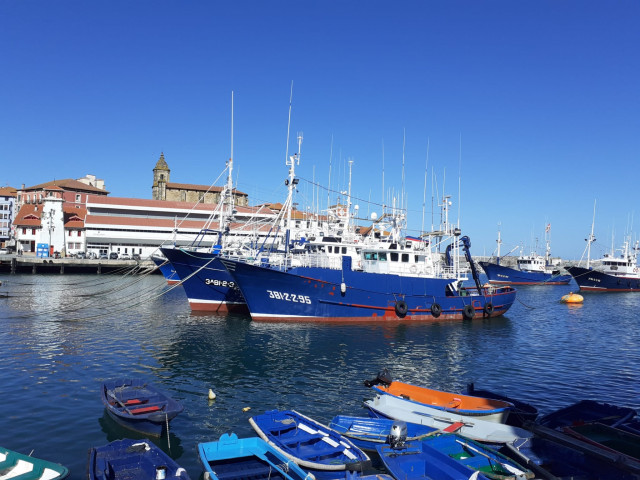 Archivo - Barcos pesqueros en el puerto de Bermeo