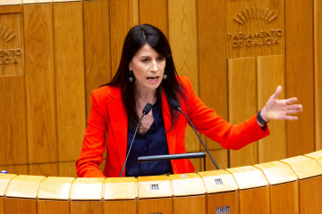 La conselleira de Vivenda, María M. Allegue, en el pleno del Parlamento