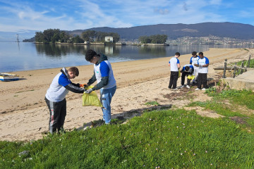 Estudiantes de Vigo retiran 270 kilos de basura marina y flora exótica invasora de la playa de Cesantes, en Redondela.