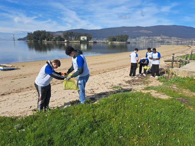 Estudiantes de Vigo retiran 270 kilos de basura marina y flora exótica invasora de la playa de Cesantes, en Redondela.