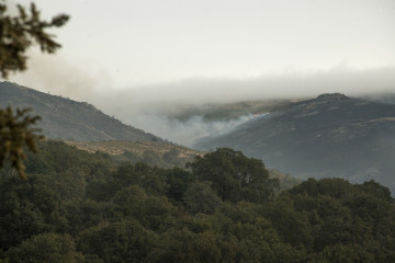 Archivo - Incendio forestal