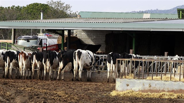 Unións Agrarias pide aos consumidores que non compren produtos de Lactalis