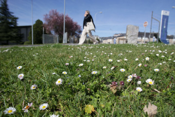 Archivo - Una joven camina frente a un campo lleno de margaritas el día que comienza  la primavera, en el Campus de la USC, a 20 de marzo de 2023, en Lugo, Galicia (España). Esta estación dura apro