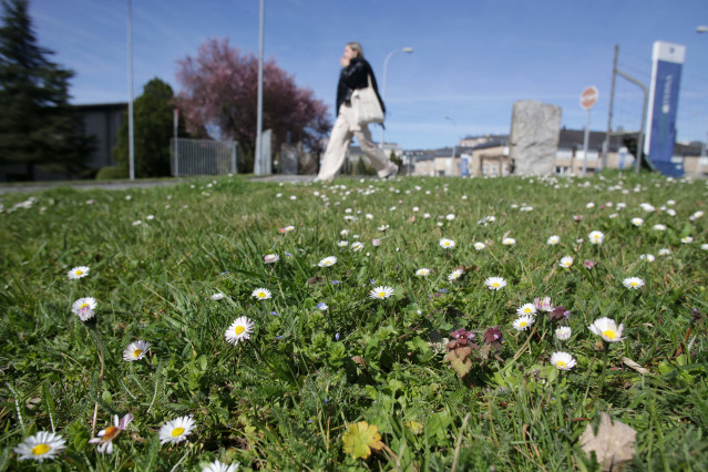 Archivo - Una joven camina frente a un campo lleno de margaritas el día que comienza  la primavera, en el Campus de la USC, a 20 de marzo de 2023, en Lugo, Galicia (España). Esta estación dura aproximadamente 92 días y 18 horas, y termina el 21 de junio c