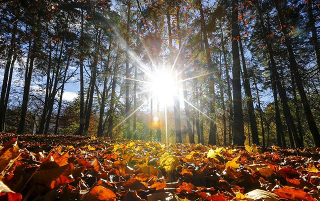 ​El otoño comienza hoy a las 4 y 20 de la tarde