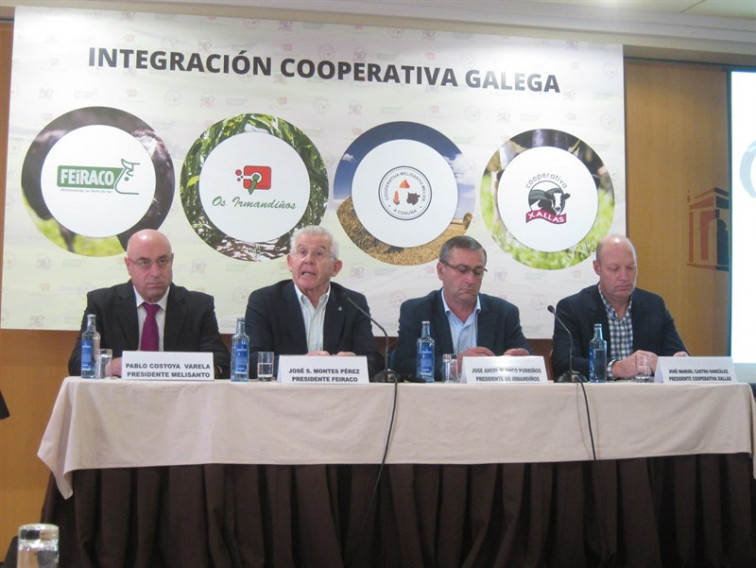 ​Catro cooperativas galegas queren integrarse nun grupo lácteo