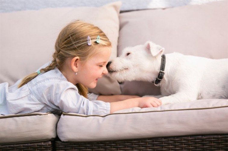 ​Tener mascotas reduce el riesgo de alergias y obesidad en la infancia