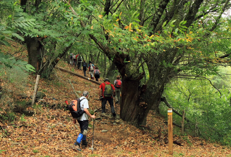 Rescatan en Silleda un grupo de excursionistas perdidos