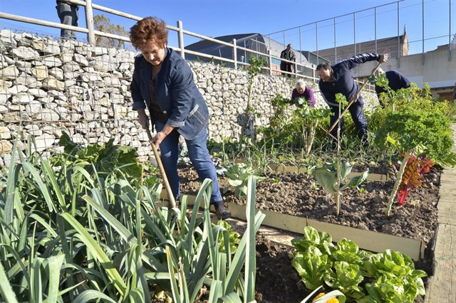 A agricultura ecolóxica, unha necesidade para a saúde e a cadea agroalimentaria