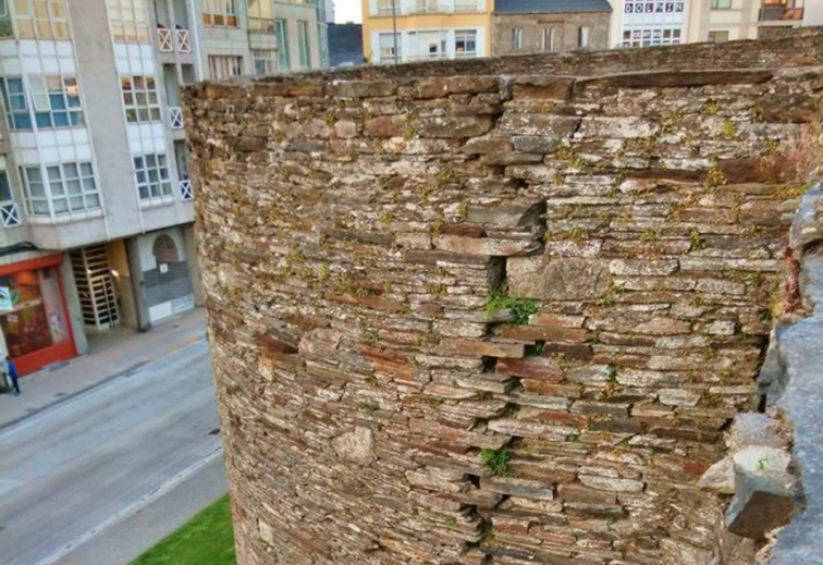 Las grietas en la muralla preocupan al nuevo delegado de la Xunta en Lugo