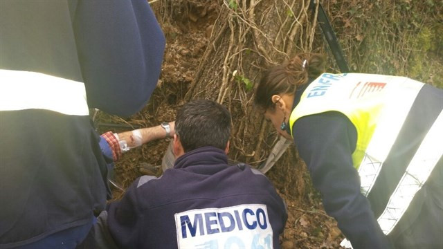 Muere un trabajador tras caerle un árbol encima en Salvaterra