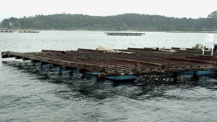 39 personas intoxicadas por mejillones de origen gallego