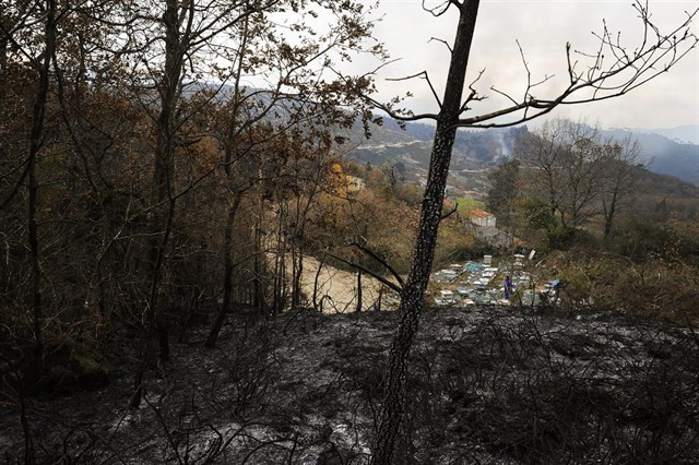 Galicia no está ‘equipada’ para la desestacionalización del fuego