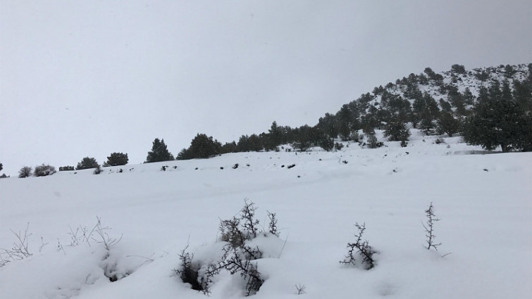 ​Activado en Ourense el aviso por nevadas