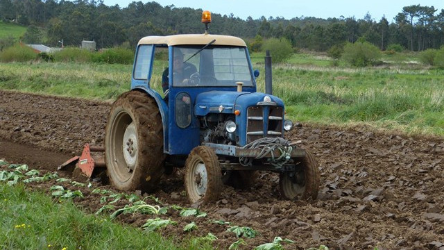 250.000 euros para indemnizar a 374 agricultores afectados por la plaga de la patata