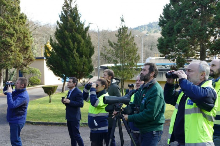 Viaqua se suma en Santiago a un programa de conservación de la biodiversidad local