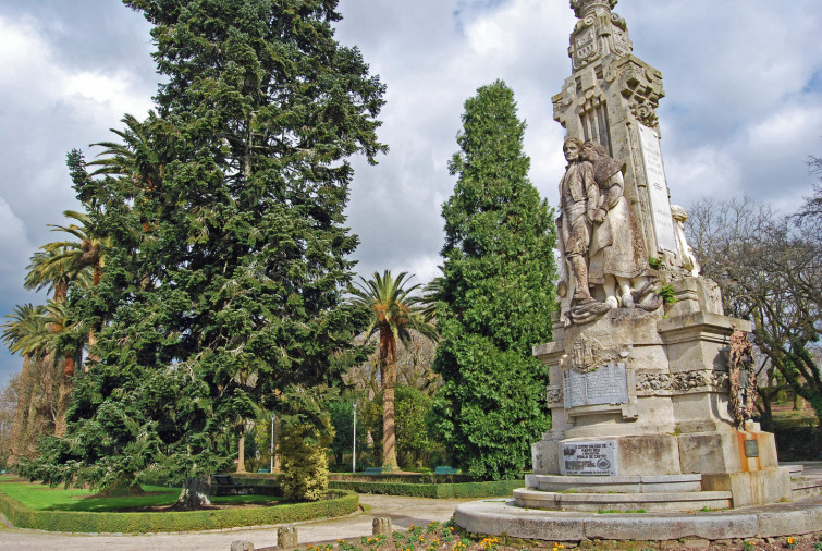 El Concello de Santiago señalizará los 71 árboles más emblemáticos de la Alameda