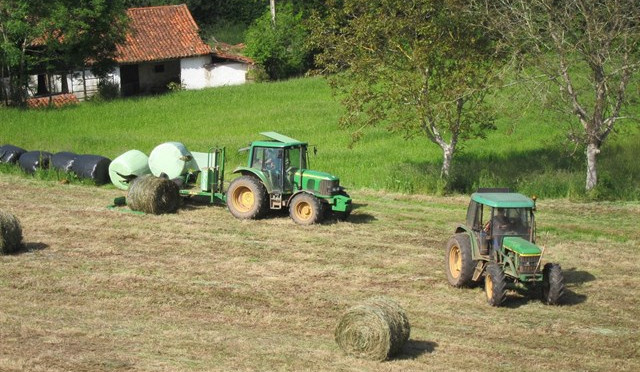 Las llamas dejan sin hierba para afrontar el invierno a ganaderos de Chandrexa