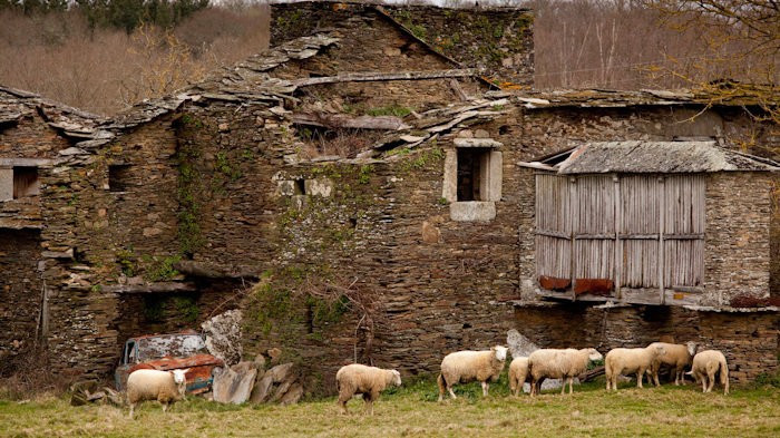 ​Galicia perdió 9.495 habitantes en 2016, el sexto año consecutivo de sangría demográfica