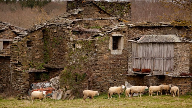 Es urgente la creación de oficinas autonómicas para luchar contra la despoblación rural