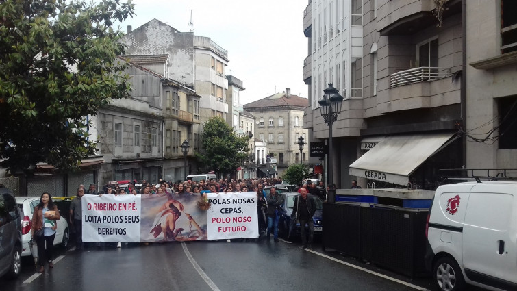 Los viticultores de O Ribeiro 'se mojan' por defender las ayudas al sector tras las heladas